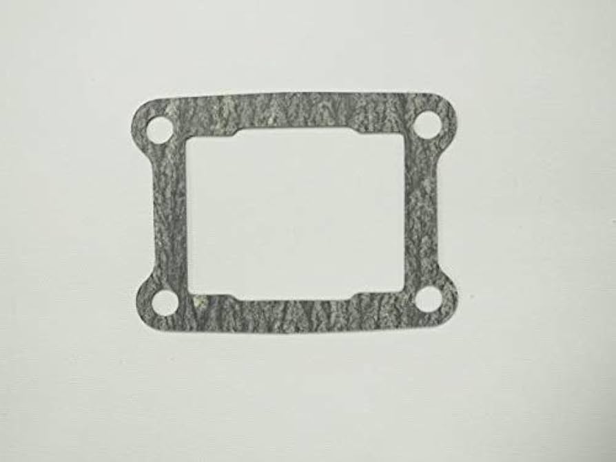 リード5個 Amazon.co.jp: EnergyPrice(エナジープライス) バイク エンジン